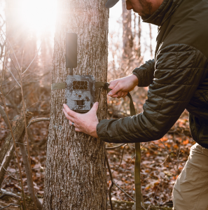 where to hang a trail camera